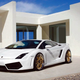 Illustration for article titled IMSA GTV Lamborghini Gallardo LP 560-4